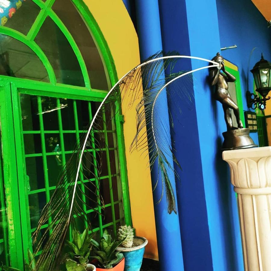 آغْرا The Coral Tree Boutique Homestay المظهر الخارجي الصورة